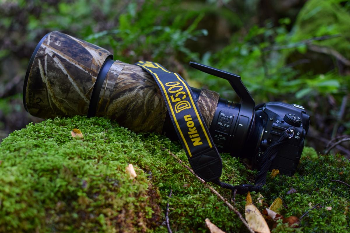 Nikon d500 a 200-500mm