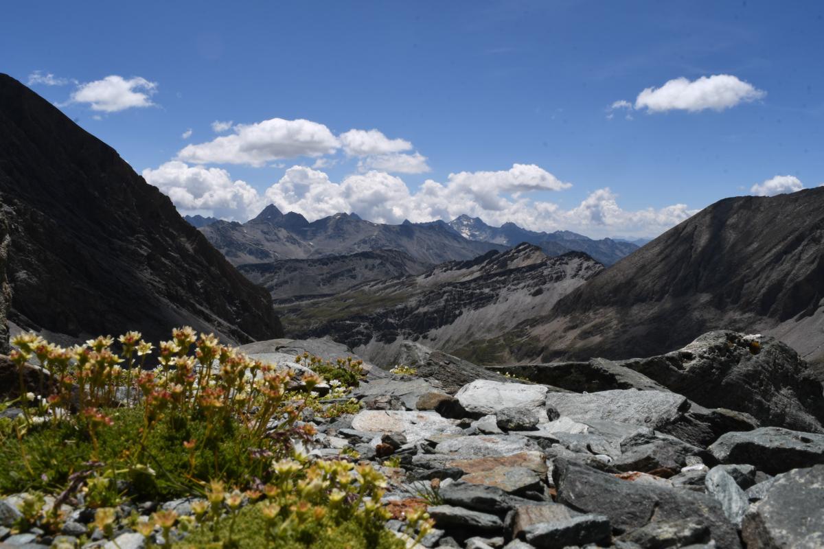 Rakouské Alpy pod vrcholem Grossglockneru