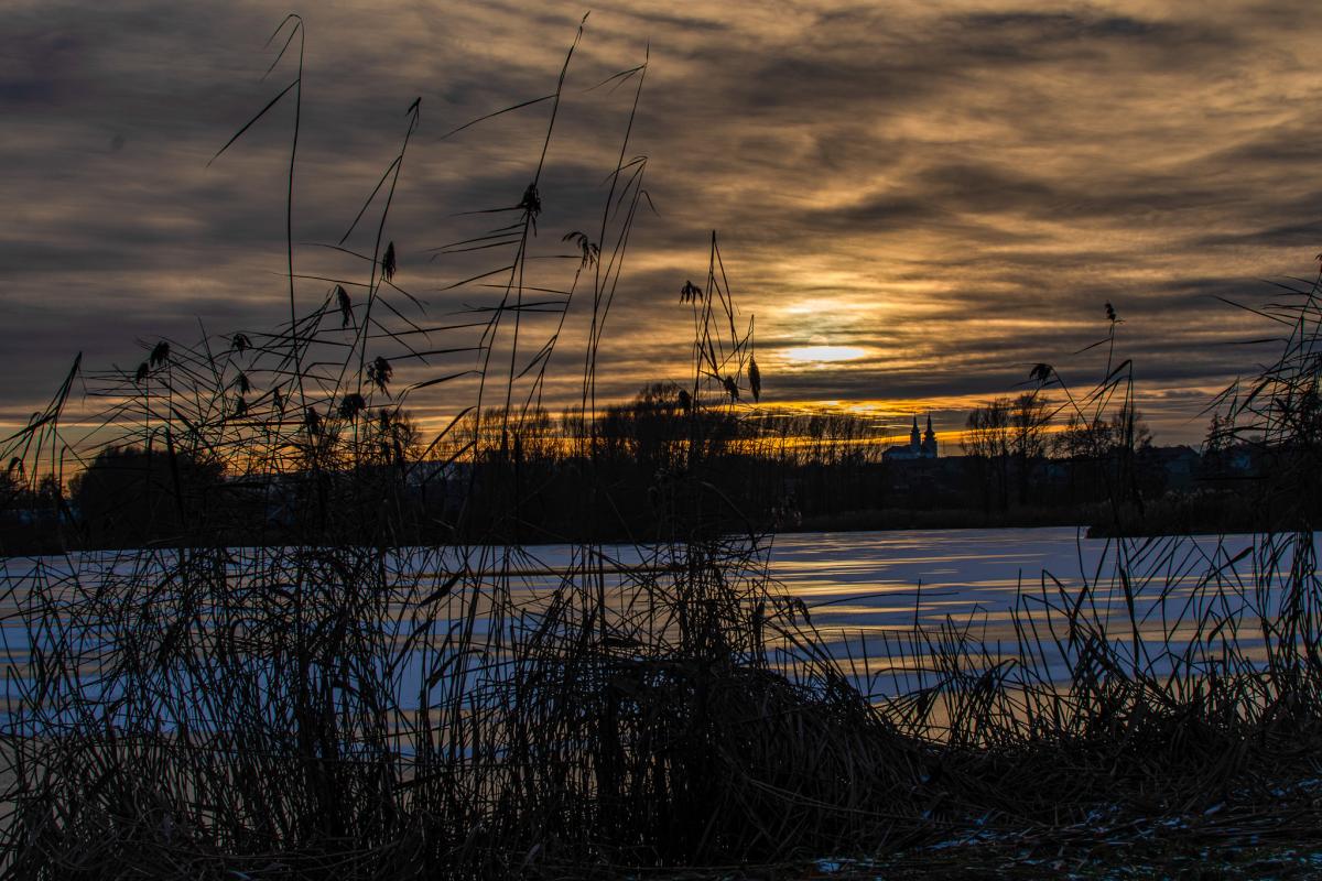 Západ slunce u rybníku